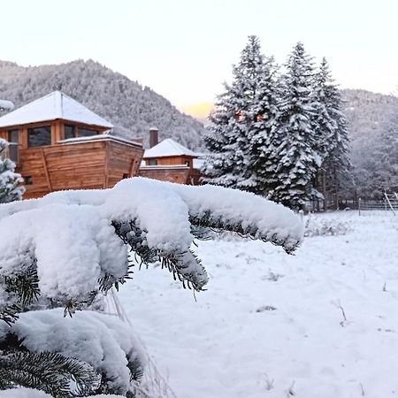 Escale Cab'Ane Hotel Mittlach Exterior foto